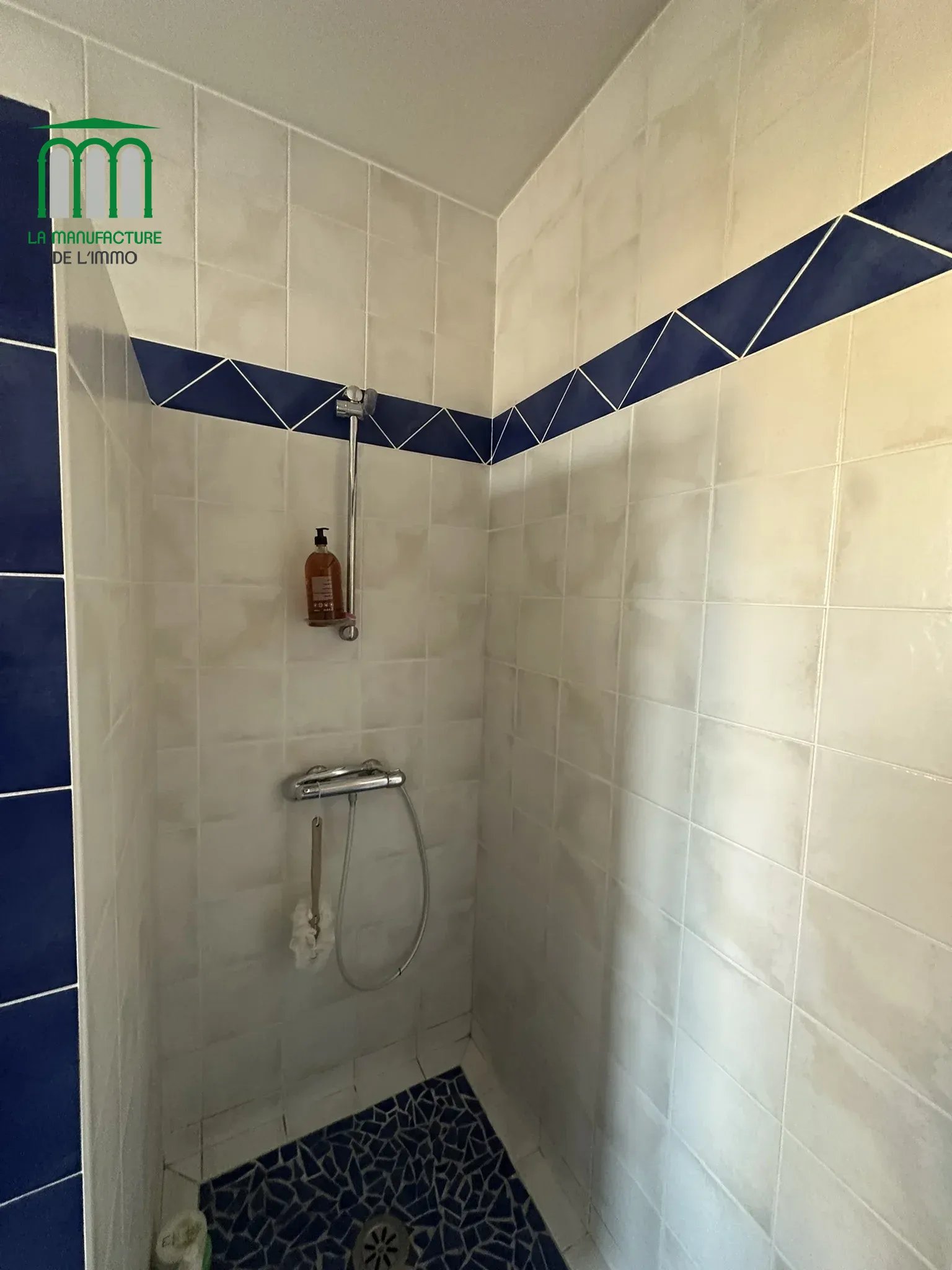 Appartement F4 avec terrasse, cave et garage Le Chambon-Feugerolles